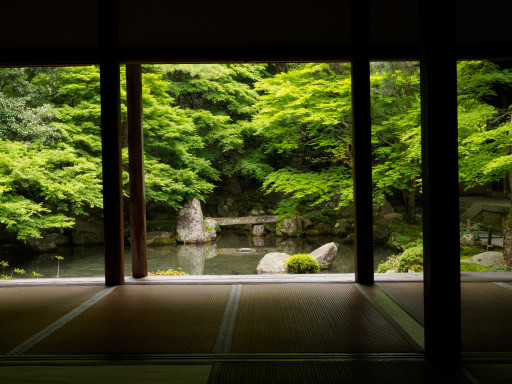 新緑 蓮華寺 (京都市左京区) 新緑 蓮華寺 (京都市左京区)