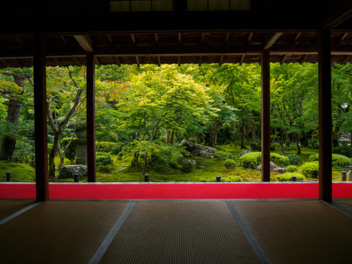 夏 圓光寺 (京都市左京区) 夏 圓光寺 (京都市左京区)