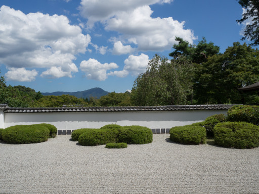 夏 正伝寺 (京都市北区) 夏 正伝寺 (京都市北区)