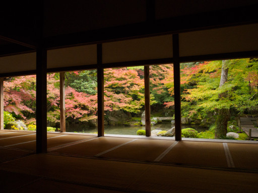 紅葉 蓮華寺(京都市左京区) 紅葉 蓮華寺(京都市左京区)