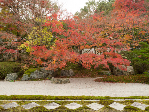 紅葉 南禅寺 天授庵(京都市左京区) 紅葉 南禅寺 天授庵(京都市左京区)
