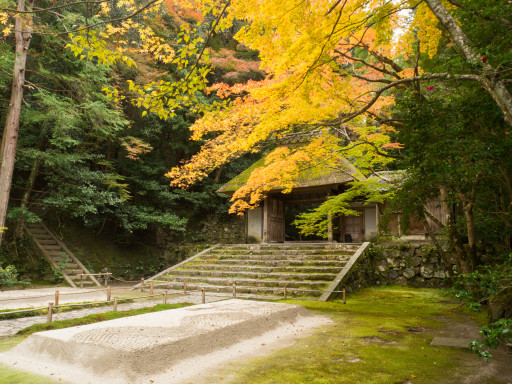 紅葉 法然院(京都市左京区) 紅葉 法然院(京都市左京区)