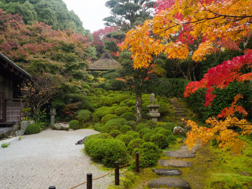 紅葉 金福寺(京都市左京区) 紅葉 金福寺(京都市左京区)
