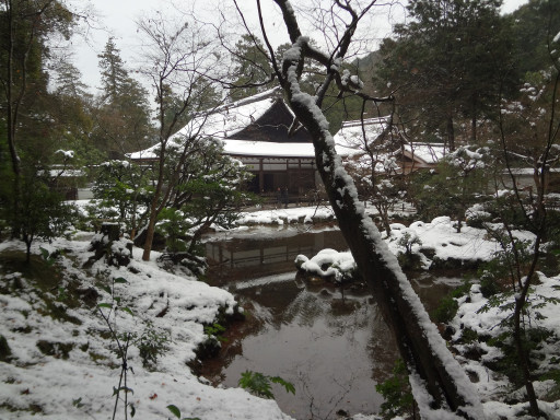 冬・積雪 南禅院(京都市左京区、南禅寺別院) 冬・積雪 南禅院(京都市左京区、南禅寺別院)