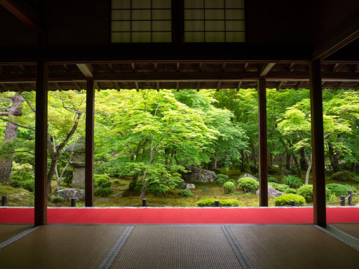 新緑 圓光寺(京都市左京区) 新緑 圓光寺(京都市左京区)