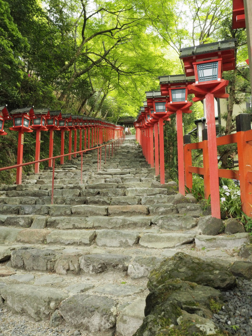 新緑 貴船神社(京都市左京区) 新緑 貴船神社(京都市左京区)