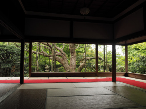 新緑 宝泉院(京都市左京区大原) 新緑 宝泉院(京都市左京区大原)