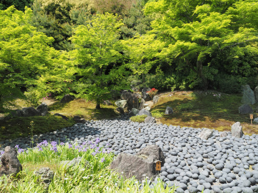 宝厳院 天龍寺塔頭(京都市右京区) 宝厳院 天龍寺塔頭(京都市右京区)