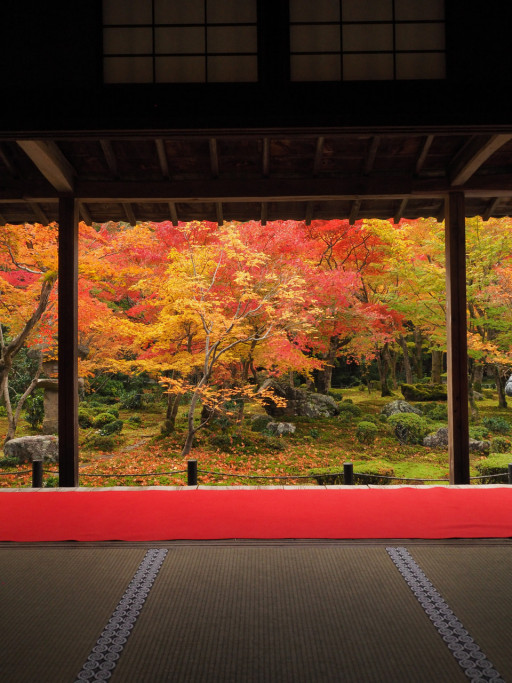 圓光寺(京都市左京区) 圓光寺(京都市左京区)