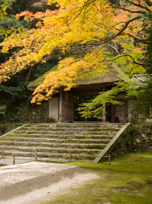 法然院(京都市左京区) 法然院(京都市左京区)